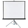 Projection Screen 70 x 70