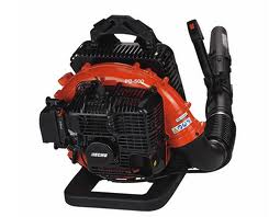 Backpack Blower Gas